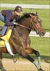 Ten Most Wanted Breezes at Hollywood Park for Belmont Stakes Ten Most Wanted Breezes at Hollywood Park for Belmont Stakes