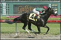 Eurosilver Officially Taken Out of Derby Consideration Eurosilver Officially Taken Out of Derby Consideration