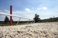 Keeneland Going With Polytrack; Other Track Renovations Planned Keeneland Going With Polytrack; Other Track Renovations Planned