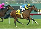 Sligo Bay, winning the Hollywood Turf Cup.