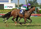 Rerun wins the Miami Mile.
<br><a target="blank" href="http://photos.bloodhorse.com/AtTheRaces-1/At-the-Races-2015/i-SsFB6Zb">Order This Photo</a>