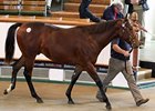 Meshardal, a son of Shamardal, commanded the second session's top price of 220,000 guineas.