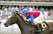 Midas Eyes Clear Favorite in Derby Trial Midas Eyes Clear Favorite in Derby Trial