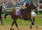 Trickey Trevor won in the 2006 Churchill Downs Handicap (gr. II).