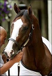 The Green Monkey Dealt Setback; Will Not Start at Saratoga The Green Monkey Dealt Setback; Will Not Start at Saratoga