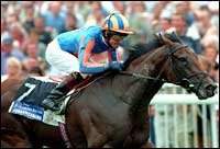 Johannesburg: Lingfield Dirt or The Curragh Turf? Johannesburg: Lingfield Dirt or The Curragh Turf?
