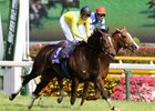 Vodka Repeats as Japan Horse of the Year Vodka Repeats as Japan Horse of the Year