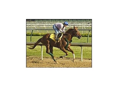 Illinois Derby winner Greeley's Galaxy.