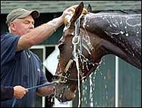 Empire Maker, Dynever Work to Satisfaction of Their Trainers Empire Maker, Dynever Work to Satisfaction of Their Trainers