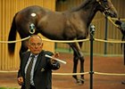 Keeneland Yearling Sale Surpasses 2010 Total Keeneland Yearling Sale Surpasses 2010 Total