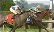 Field of Nine Head to Post for WinStar Galaxy Field of Nine Head to Post for WinStar Galaxy