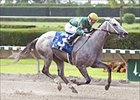 Dazzle Me wins the Azalea Breeders' Cup Stakes during the Summit of Speed at Calder Race Course.