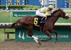 Zito's Wanderin Boy Dominates Mineshaft Zito's Wanderin Boy Dominates Mineshaft