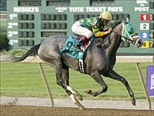 Smok'n Frolic, Winner of $1.5 Million, Retired Smok'n Frolic, Winner of $1.5 Million, Retired