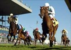 Mrs. Lindsay Makes Herself at Home in E.P. Taylor Stakes Mrs. Lindsay Makes Herself at Home in E.P. Taylor Stakes