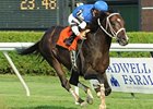 Telling hasn't won since last year's Sword Dancer.<br><a target="blank" href="http://www.bloodhorse.com/horse-racing/photo-store?ref=http%3A%2F%2Fpictopia.com%2Fperl%2Fgal%3Fprovider_id%3D368%26ptp_photo_id%3D8407520%26ref%3Dstory">Order This Photo</a>