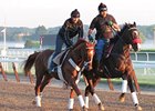 I'll Have Another went for an early gallop on June 8 at Belmont.