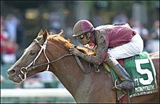 Sapling Trio Back in Belmont Futurity Sapling Trio Back in Belmont Futurity
