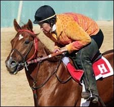 Lawyer Ron Can Extend Win Streak in Rebel Lawyer Ron Can Extend Win Streak in Rebel