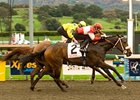 Beltene outfights Hooh Why to take the Sunshine Millions Oaks.<br><a target="blank" href="http://www.bloodhorse.com/horse-racing/photo-store?ref=http%3A%2F%2Fpictopia.com%2Fperl%2Fgal%3Fprovider_id%3D368%26ptp_photo_id%3D7536703%26ref%3Dstory">Order This Photo</a>