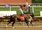 Swift Temper Handles Pace, Wins Delaware 'Cap Swift Temper Handles Pace, Wins Delaware 'Cap