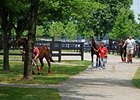 F-T Day One: Yearlings to Watch F-T Day One: Yearlings to Watch