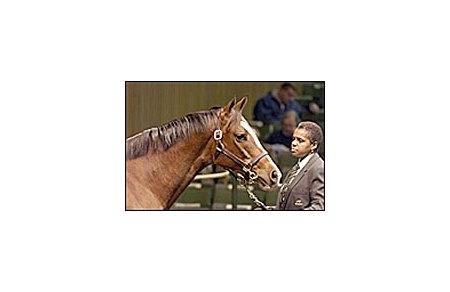 La Galerie, sold for $800,000 Monday at Keeneland January mixed sale.
