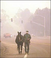Facilities Take in Horses as California Wildfires Rage Facilities Take in Horses as California Wildfires Rage