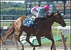 Sightseek, impresseive in Ogden Phipps Handicap victory.