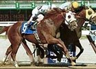 Lager (8), ridden by jockey Herberto Castillo Jr., over takes Best of Luck to win the Excelsior Breeders' Cup at Aqueduct on April 29, 2000.