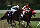 Talent Search (right) has a golden opportunity for a graded stakes victory in the De Francis.