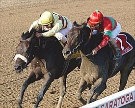 Passing Shot Shocks Wild Spirit in 'Ensign Passing Shot Shocks Wild Spirit in 'Ensign