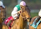 Price Tag wins the Matriarch, Sunday at Hollywood Park.