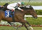 Jambalaya (3) emerges from a tightly-packed field just ahead of Honey Ryder (back) to win the Gulfstream Park Breeders' Cup Turf.