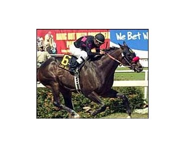 Lava Man wins the Californian.