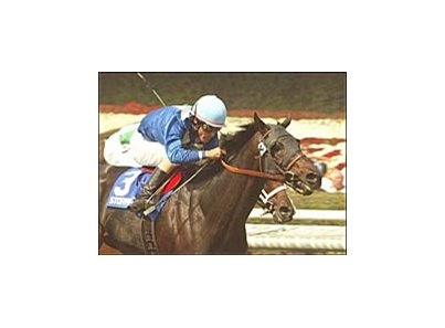 Storming Home, ridden by Gary Stevens (3), en route to winning the Clement L. Hirsch Memorial Turf Championship Sunday at Santa Anita.