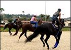 Del Mar is temporarily housing horses as a result of the California wildfires.