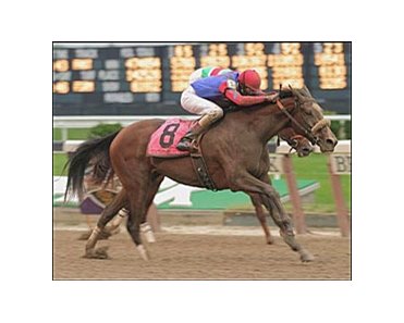 Longshot Society Selection (foreground) edges out Victory U.S.A. in the $500,000 Frizette, Saturday at Belmont.