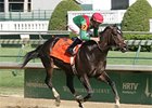 Hull, one of the stakes winners bred by Clinkinbeard.