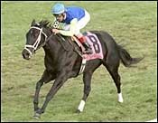 Ocean Drive Remains Unbeaten with Green River Win at Keeneland Ocean Drive Remains Unbeaten with Green River Win at Keeneland