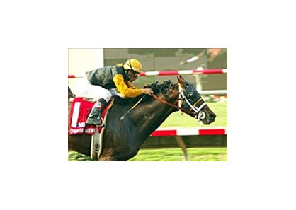 Choctaw Nation remains unbeaten with gritty win in the San Diego Handicap, Sunday at Del Mar.