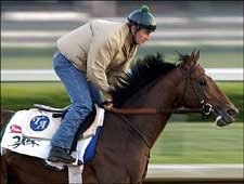Deputy Glitters is Final Derby Horse to Work Deputy Glitters is Final Derby Horse to Work