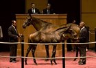 Richbabe and her Street Sense colt brought the top price of $240,000 during the first phase of the Bill and Corinne Heiligbrodt's dispersal.