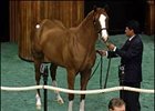 Sky Mesa filly tops opening session at $1.15 million.