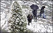Snow Disrupts Racing in Northeast Snow Disrupts Racing in Northeast