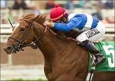 Illuminise Shows Way in Harold C. Ramser Illuminise Shows Way in Harold C. Ramser