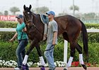 Royal Delta schooling in Dubai.