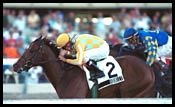 Top 3-Year-Olds Clash in Fountain of Youth, Allowance Races Top 3-Year-Olds Clash in Fountain of Youth, Allowance Races