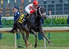 Accredit comes home strong in the Churchill Downs Handicap.<br><a target="blank" href="http://www.bloodhorse.com/horse-racing/photo-store?ref=http%3A%2F%2Fpictopia.com%2Fperl%2Fgal%3Fprovider_id%3D368%26ptp_photo_id%3D8063224%26ref%3Dstory">Order This Photo</a>