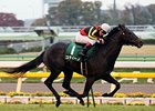 Undefeated Colts Meet in Asahi Hai Futurity Undefeated Colts Meet in Asahi Hai Futurity